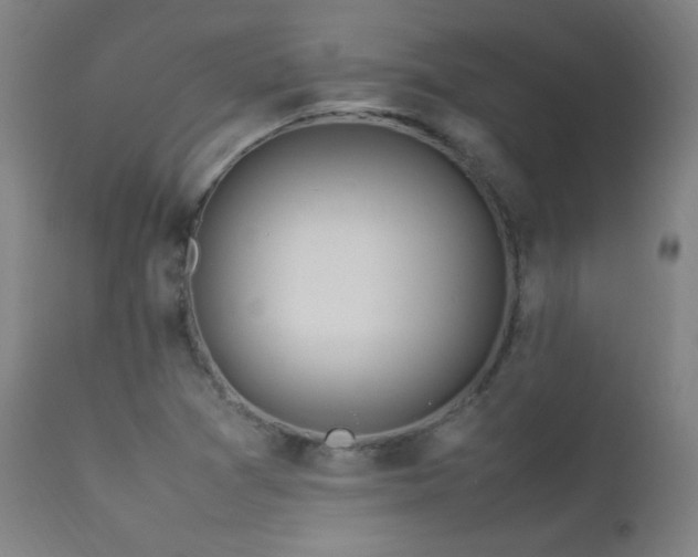 X0000112871361200908211416
