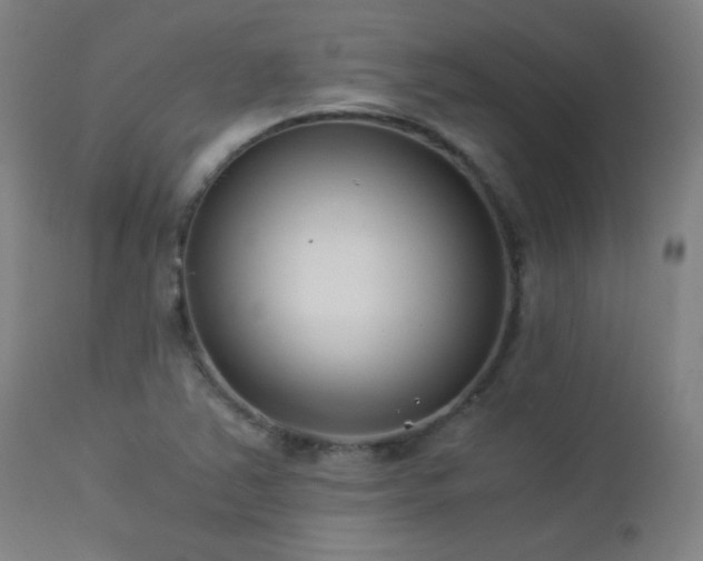 X0000112871363200908211416