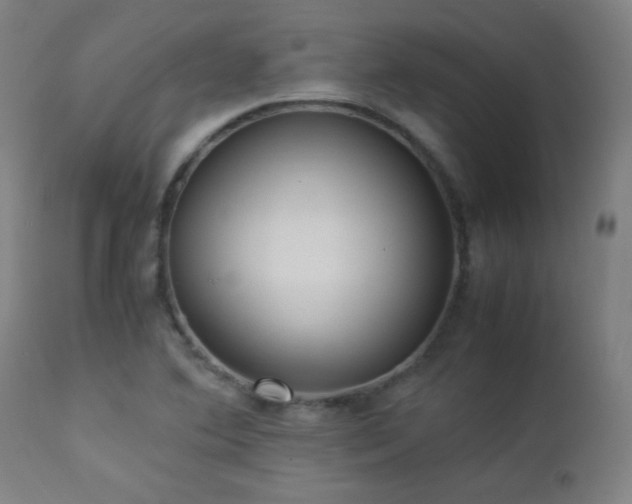 X0000112871364200908211416