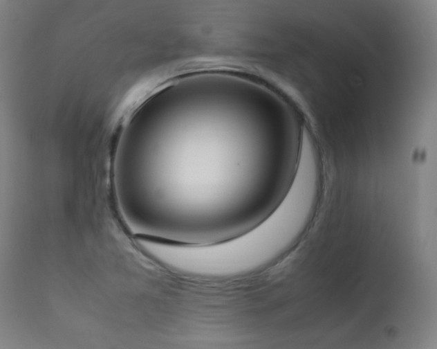 X0000112871365200908211416