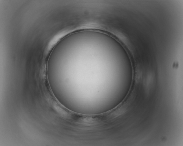 X0000112871366200908211416