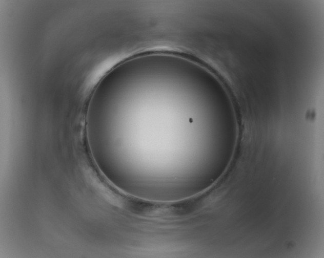 X0000112871367200908211416
