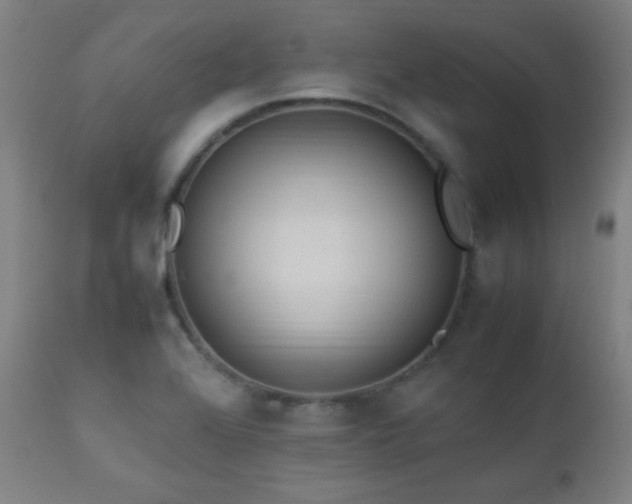 X0000112871368200908211416