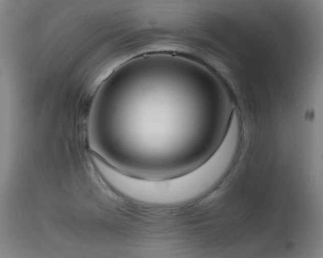 X0000112871369200908211416
