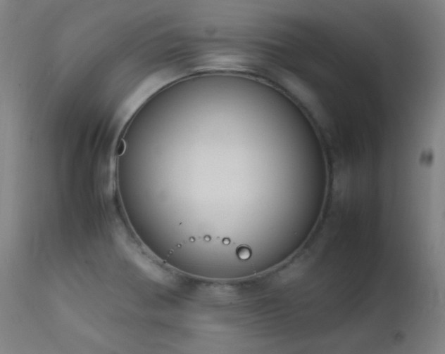 X0000112871370200908211416