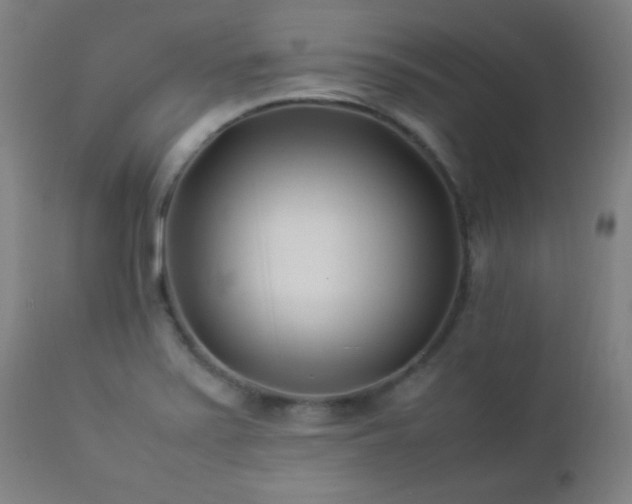X0000112871371200908211416