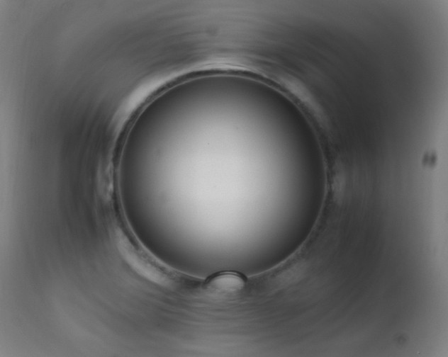 X0000112871372200908211416