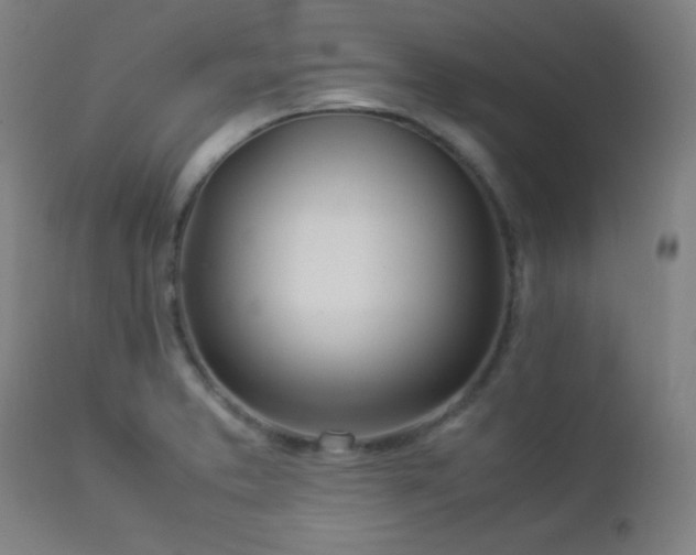 X0000112871373200908211416
