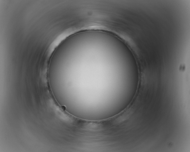 X0000112871374200908211416