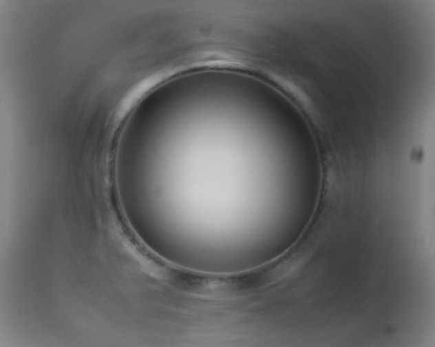 X0000112871375200908211416