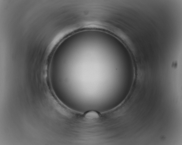 X0000112871376200908211416