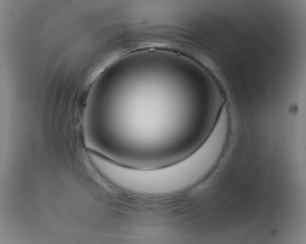 X0000112871377200908211416