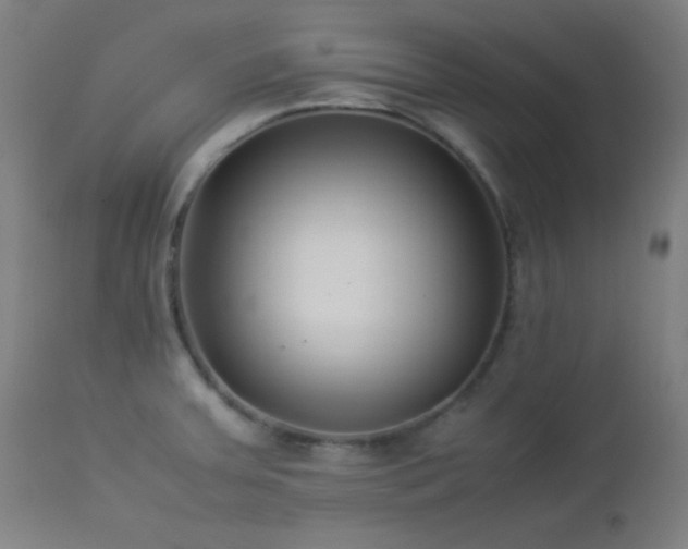 X0000112871379200908211416