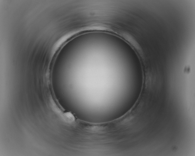 X0000112871380200908211416