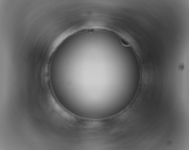 X0000112871382200908211416