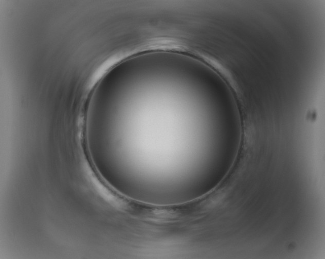 X0000112871383200908211416