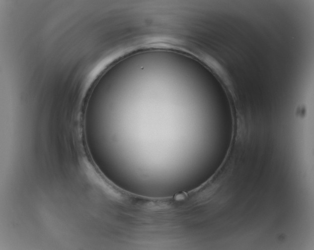 X0000112871384200908211416
