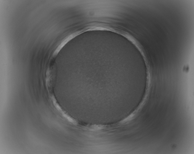 X0000112871385200908211416
