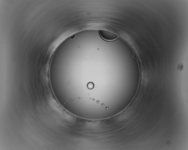 X0000112871386200908211416