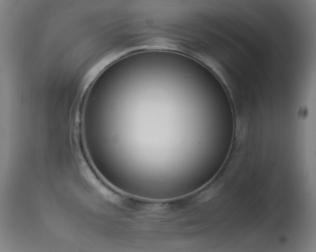 X0000112871387200908211416