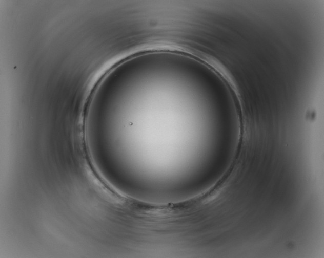 X0000112871388200908211416