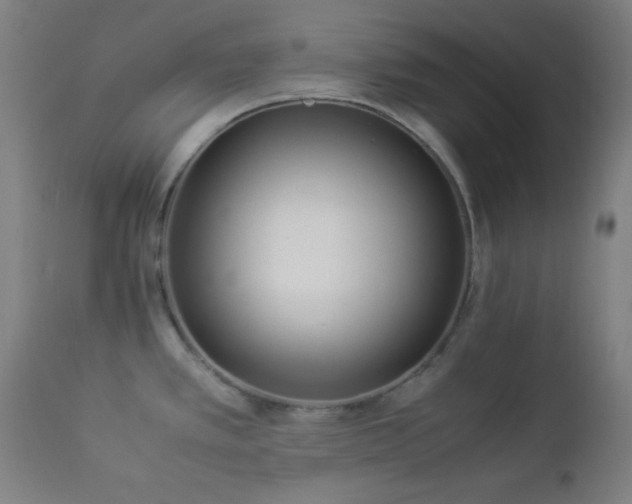 X0000112871389200908211416