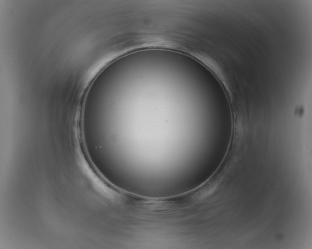 X0000112871391200908211416