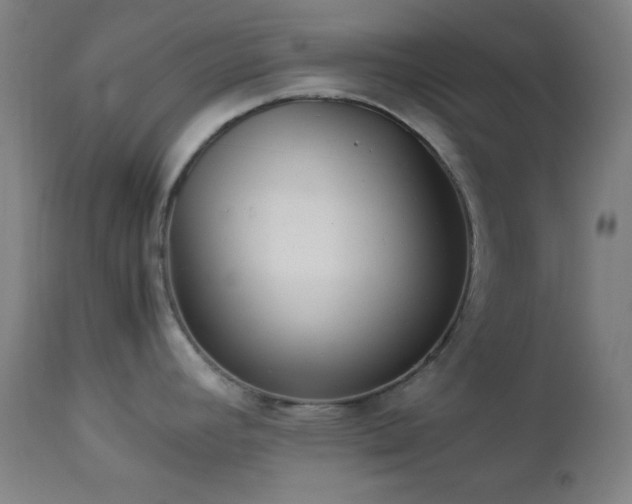 X0000112871392200908211416