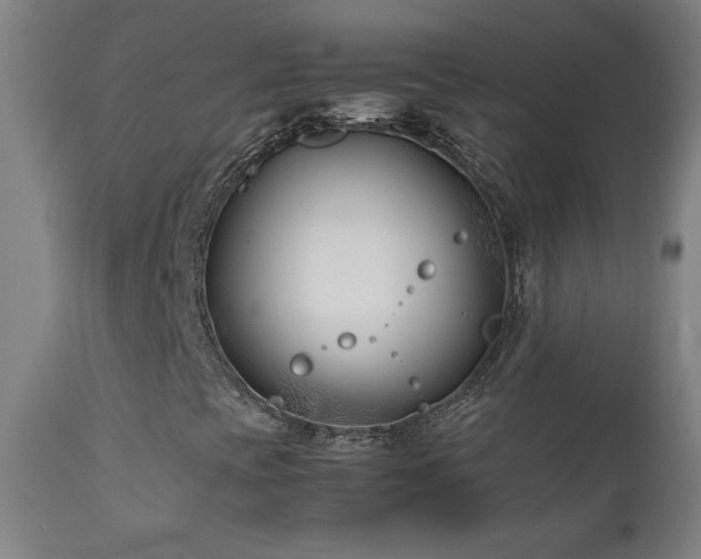 X0000112871393200908211415