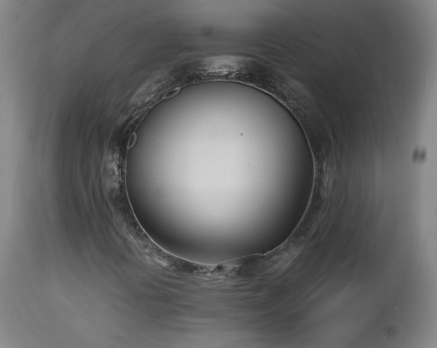 X0000112871394200908211415