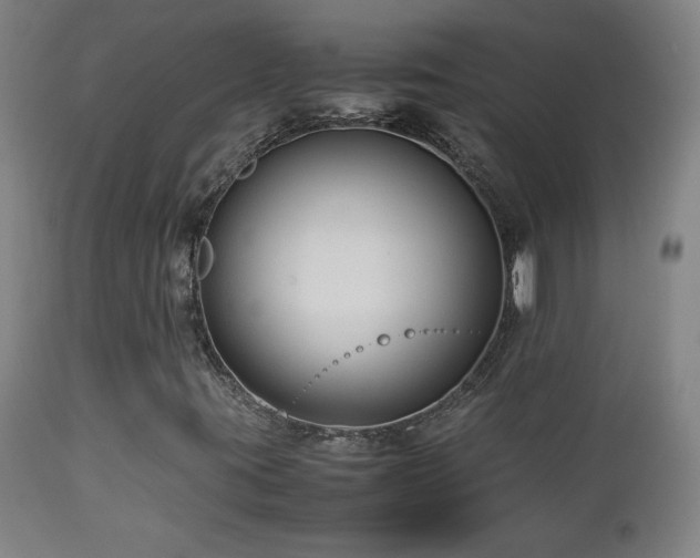 X0000112871395200908211415