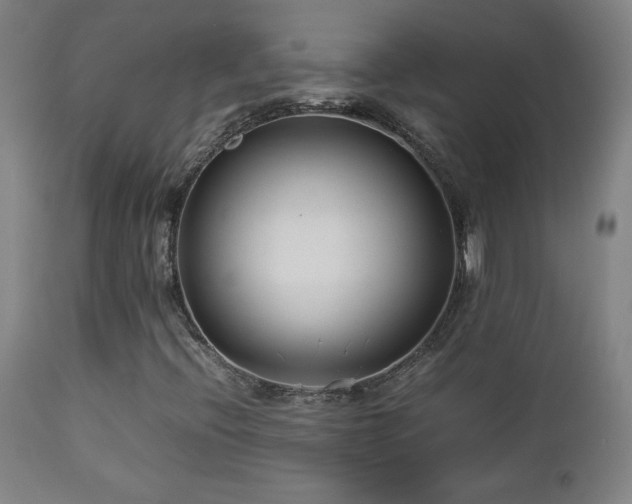 X0000112871396200908211415