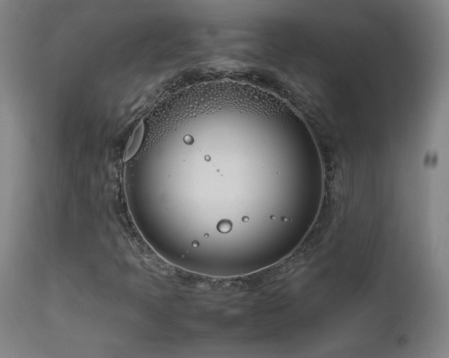 X0000112871397200908211415