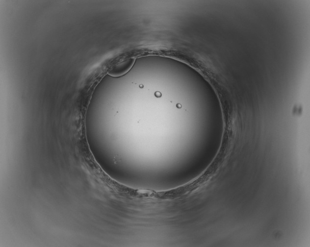 X0000112871398200908211415