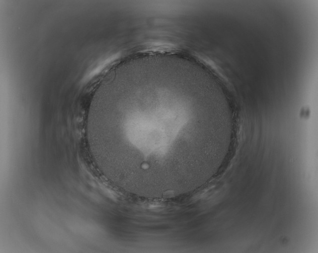X0000112871399200908211415