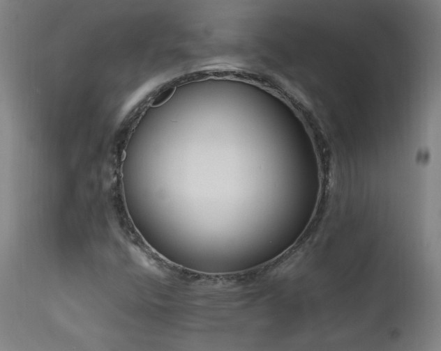 X0000112871400200908211415