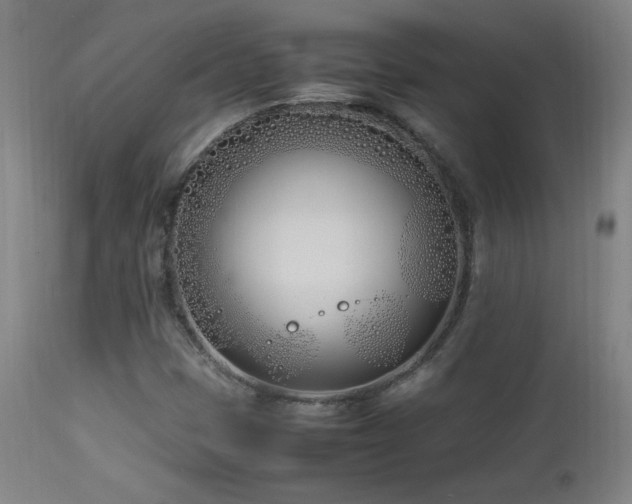 X0000112871401200908211415