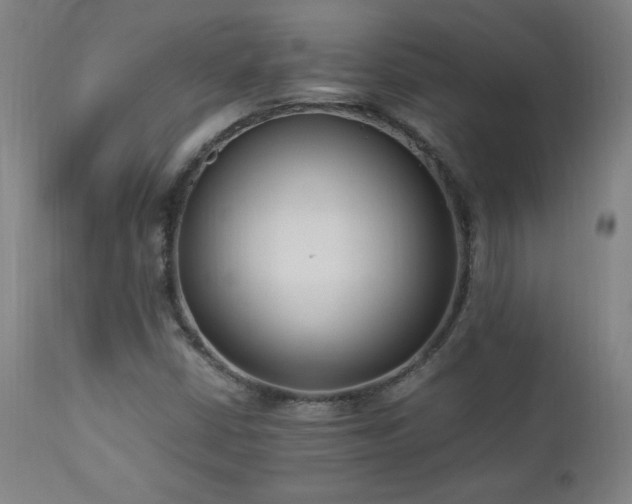X0000112871402200908211415