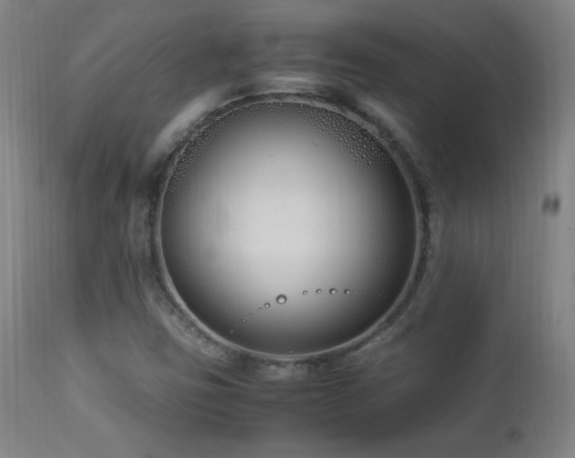 X0000112871403200908211415