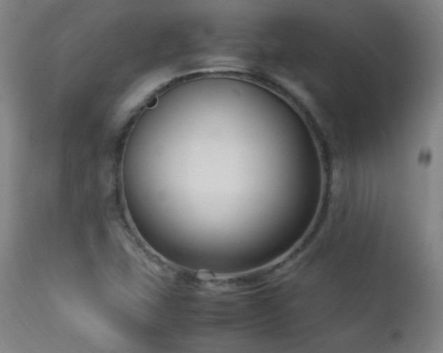 X0000112871407200908211415