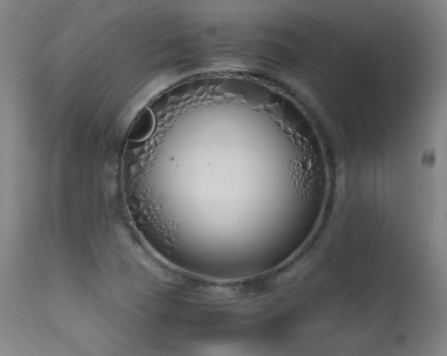 X0000112871409200908211415