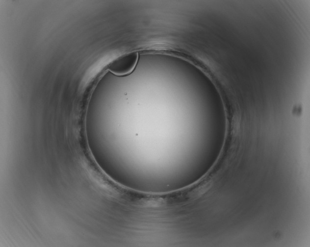 X0000112871410200908211415