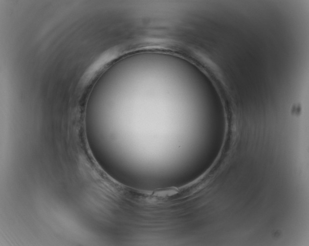 X0000112871411200908211415