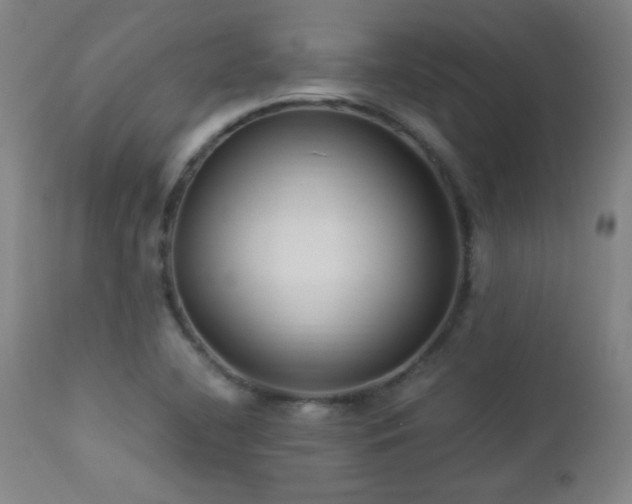X0000112871412200908211415