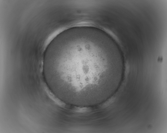X0000112871413200908211415