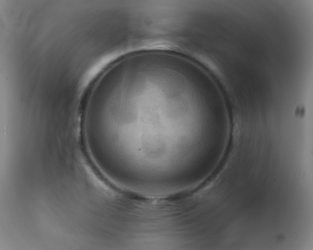 X0000112871414200908211415
