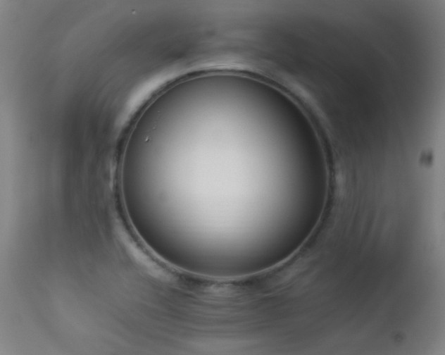 X0000112871416200908211415