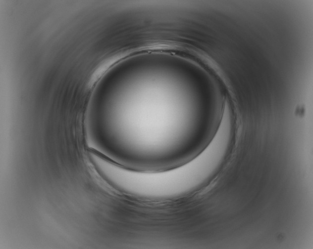 X0000112871417200908211415