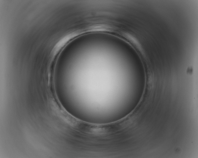 X0000112871419200908211415