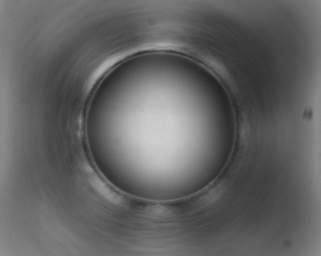 X0000112871420200908211415